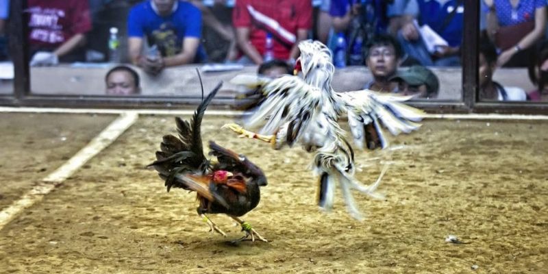 82vn ﻿đăng nhập lô đề uy tín