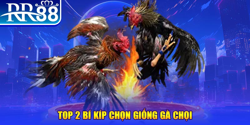 82vn bắn cá h5