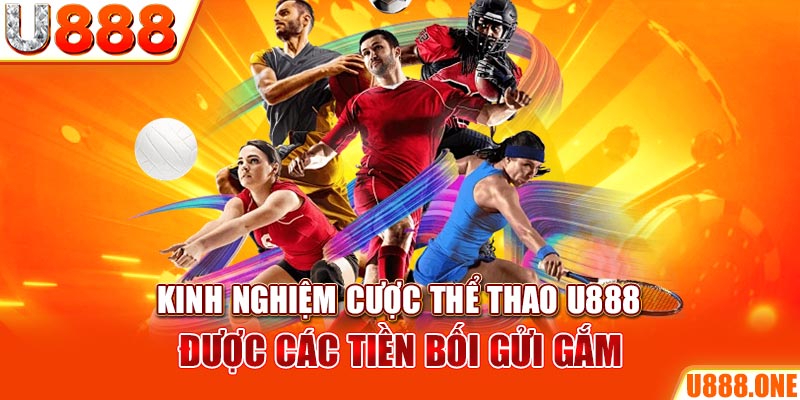 82vn ÁT CHỦ BÀI GIÀNH LẤY ZHUANG NIUNIU ( XEM 3 LÁ )