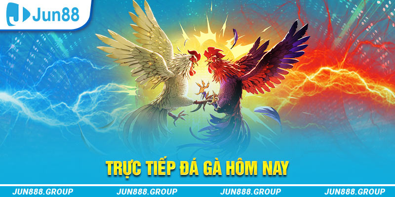 82vn trực tiếp đá gà thomo