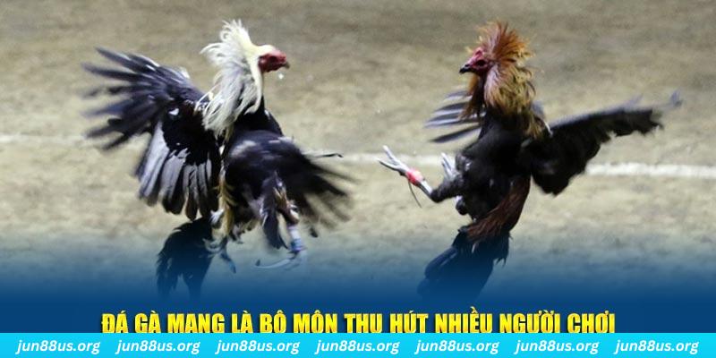 82vn xổ số long an