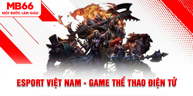 82vn PT Điện Tử