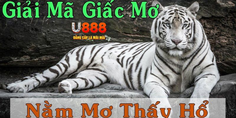 82vn Bài Poker Joker