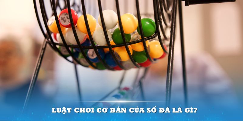 82vn Đĩa màu ace