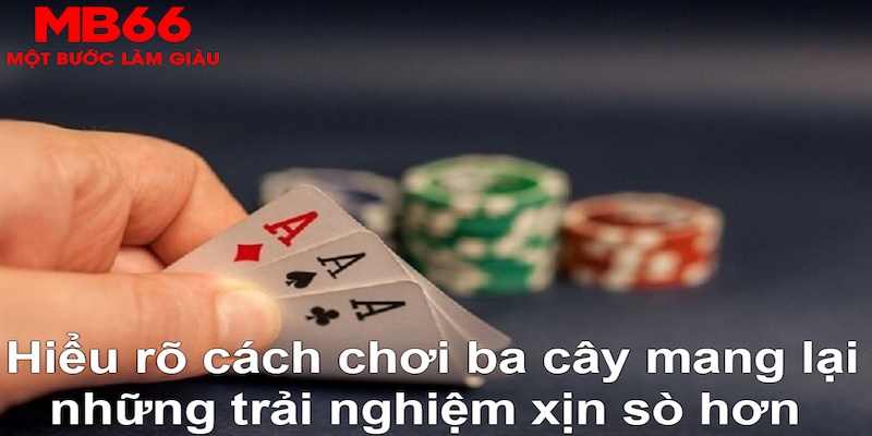 82vn DB Trực Tuyến