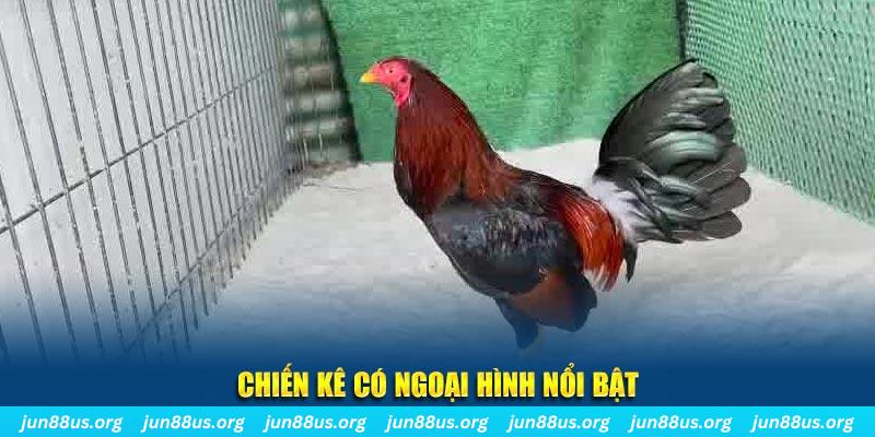82vn nhạc slot là gì